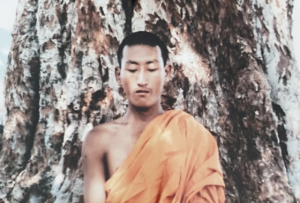 Rinpoche under bodhi tree banner