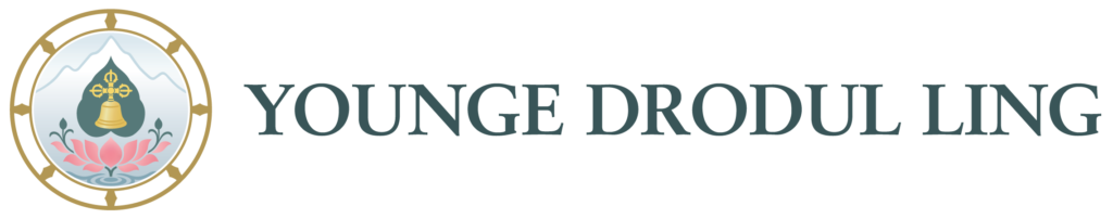 cropped-YDL_Small-Horiz_Colors.png